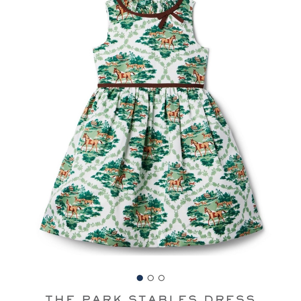 NWT Girls Size 10 Janie and Jack Equestrian Print Dress